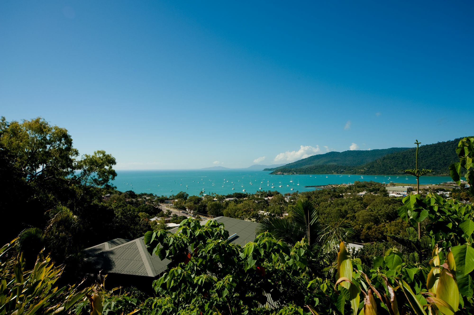 Sea Star Apartments Airlie Beach Exterior foto